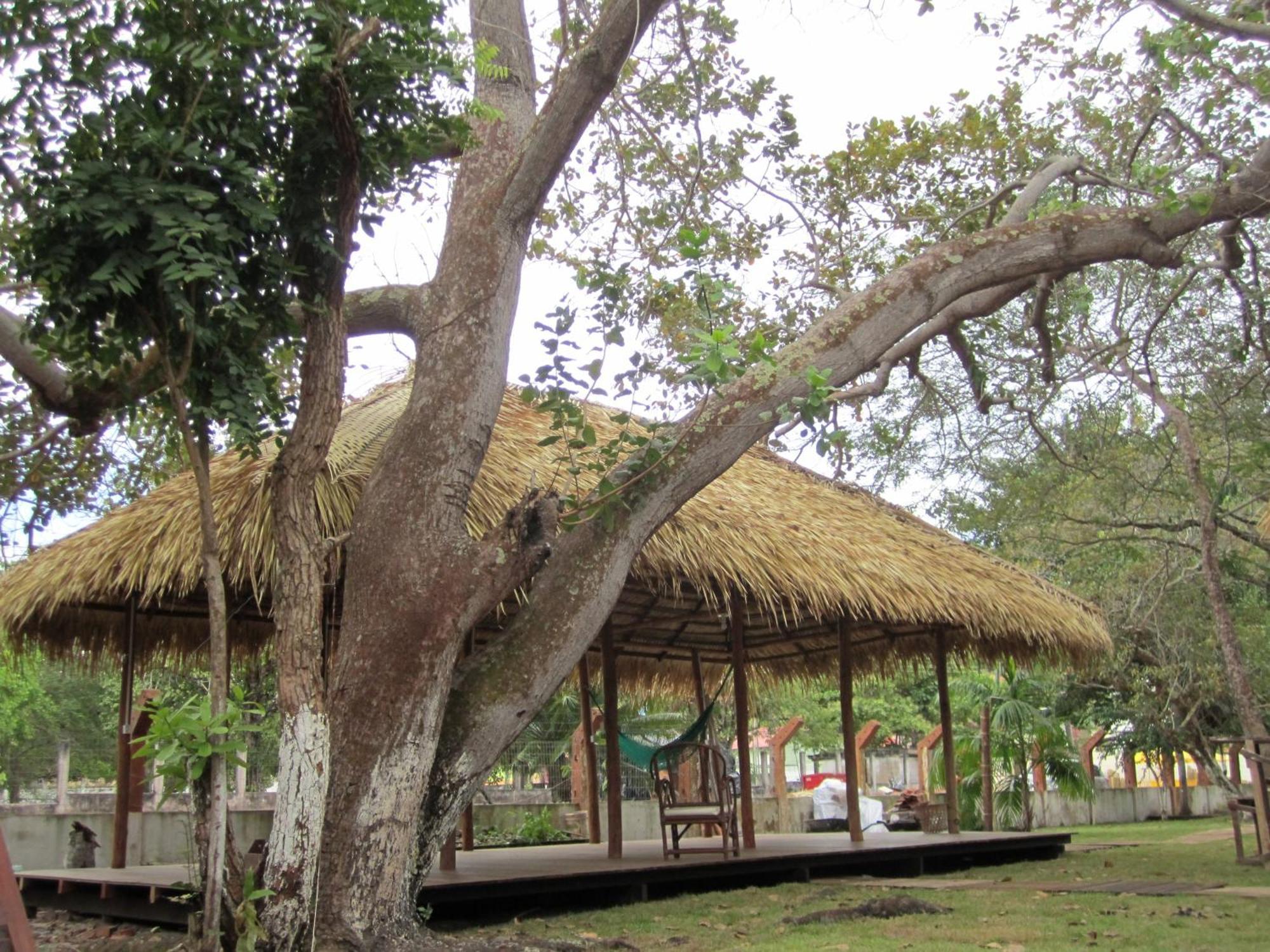Hostel Pousada Do Tapajos Alter do Chão Luaran gambar